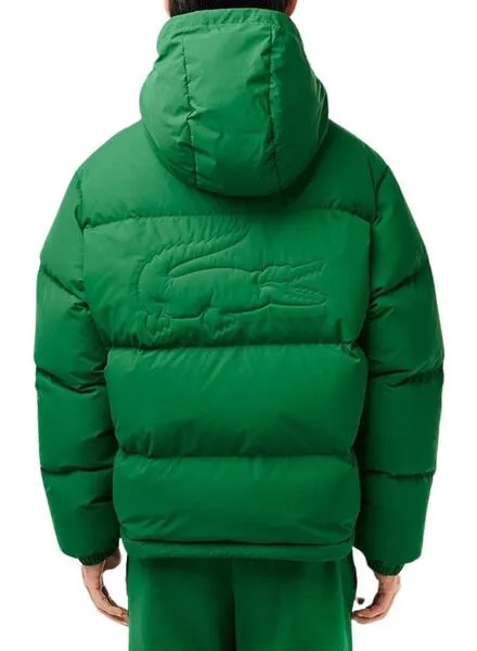 Chaqueta Lacoste Blouson Verde Para Hombre