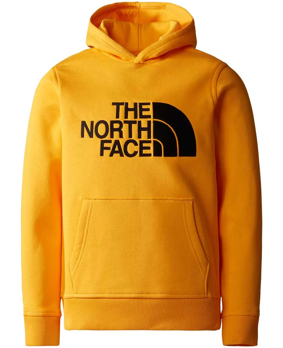 SUDADERA CON CAPUCHA NORTH FACE DREW PEAK