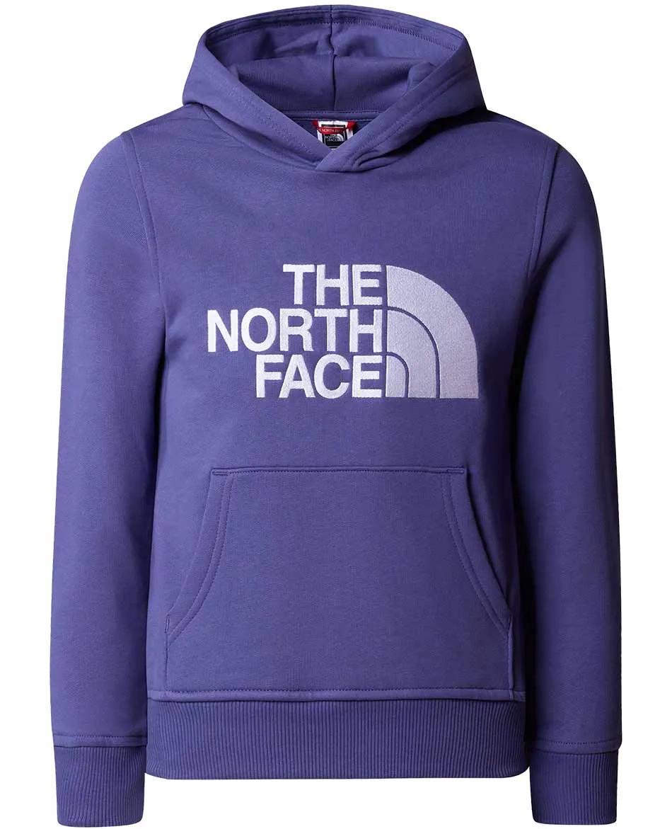 SUDADERA CON CAPUCHA NORTH FACE DREW PEAK