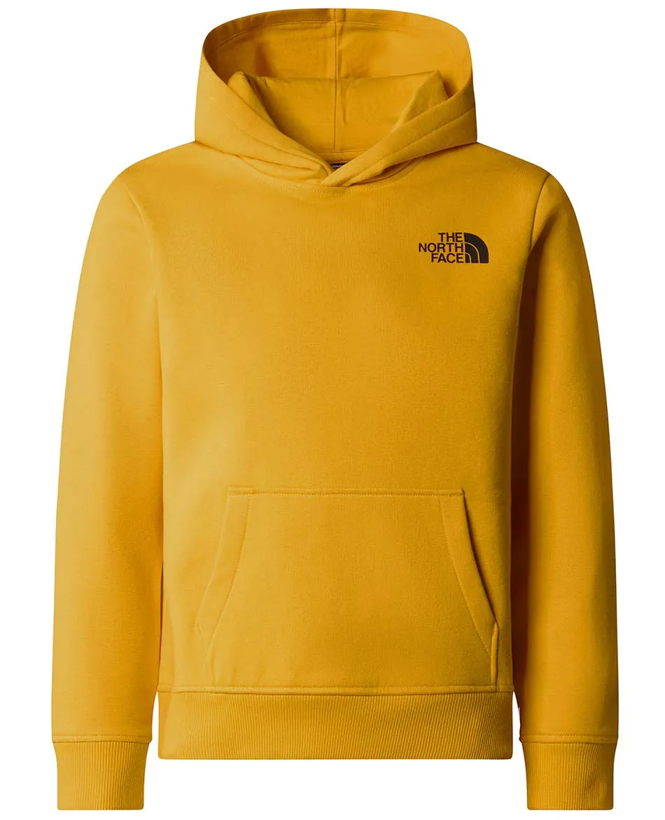 SUDADERA CON CAPUCHA NORTH FACE REDBOX JUNIOR